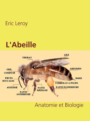 cover image of L'Abeille